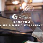 Sonorum - wine & music experience